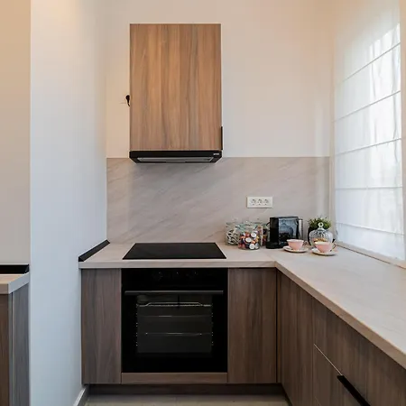 Loggia & Luxe 5Br Penthouse In Universitatii Area Bucarest Exterior foto